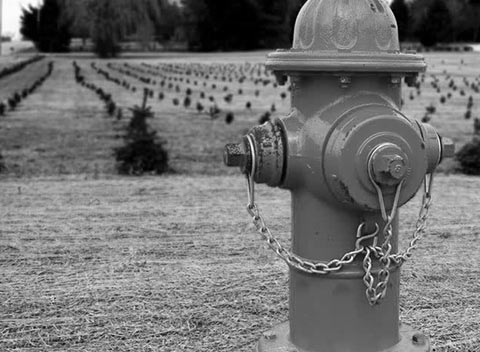 ddos压力在线测试平台